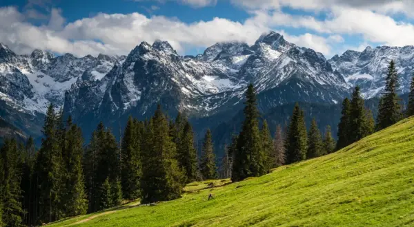 Zielony stok z widokiem na ośnieżone szczyty Tatr. Idealne miejsce na wycieczki w Tatry, gdzie można podziwiać majestatyczne krajobrazy.