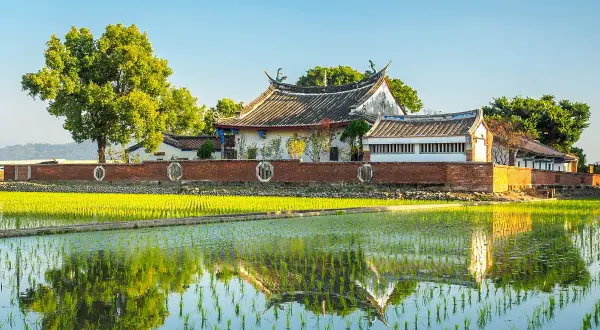 Un campo de arroz verde brillante refleja un edificio tradicional. Aquí es de donde viene el arroz, cultivado en agua.