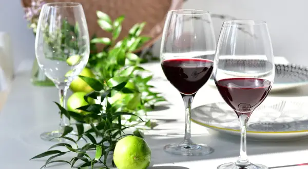 Dwa kieliszki do porto z czerwonym winem, zielone limonki i gałązki na białym stole.