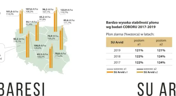 Wykres słupkowy porównujący plon zbóż hybrydowych SU Arvid i SU Baresi w badaniach COBORU.