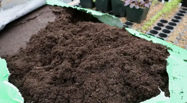En stor hög med mörk blomjord ligger i en öppen grön plastpåse. Små plantor syns i bakgrunden.