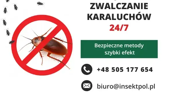 Jak skutecznie pozbyć się karaluchów w bloku i uniknąć inwazji