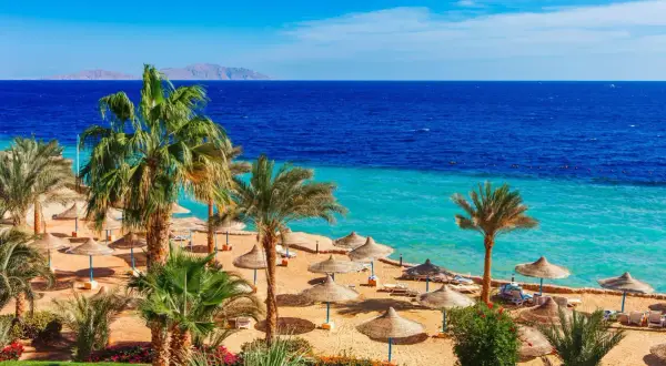 Solig strand med palmer och parasoller i Hurghada, Egypten. Blått hav och berg i horisonten.