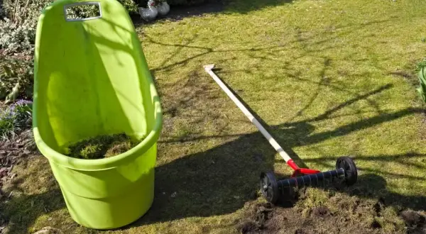Zielony wózek na odpady ogrodowe i aerator do trawnika, gotowe do pracy. Siarczan żelaza na mech pomoże w pielęgnacji trawnika.