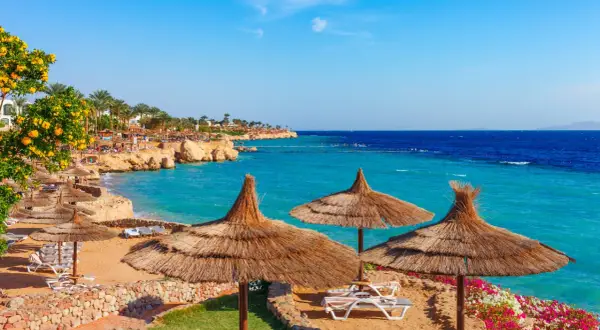 Słoneczna plaża w Sharm el Sheikh, z turkusowym morzem i leżakami pod strzechą. Idealne miejsce na wakacje, gdzie wiza otwiera drzwi do raju.