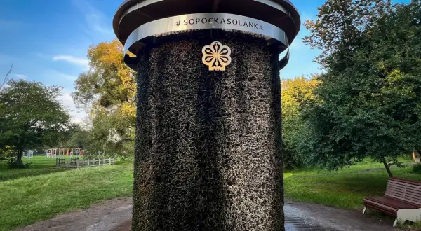 #Sopockasolanka – relaks i zdrowie. Tężnia solankowa w Sopocie to idealne miejsce na odprężenie, oferujące wyjątkowe atrakcje dla dorosłych.