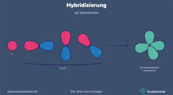 Die Hybridisierung in der Chemie: Ein s-Orbital und drei p-Orbitale verschmelzen zu vier sp³-Hybridorbitalen, die tetraedrisch angeordnet sind.
