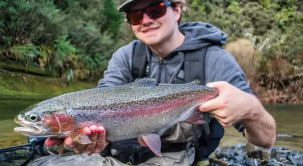 Glad fiske i Ånnaboda! En stolt fiskare håller upp en vacker regnbåge vid en forsande å.
