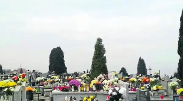 Ile kosztuje montaż ławki na cmentarzu? Ceny, które mogą zaskoczyć