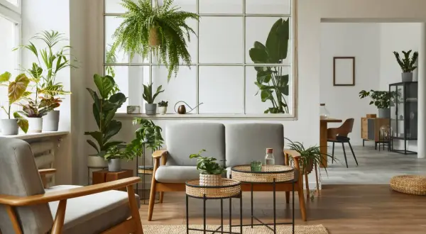 Ein Wohnzimmer im **biophilic design** mit vielen Pflanzen, einem Sofa, Sesseln und Holzelementen.