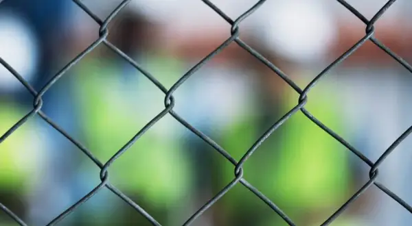 Jak postawić ogrodzenie z siatki - uniknij najczęstszych błędów