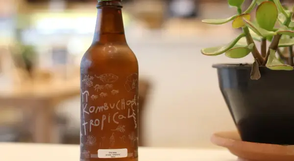 Brązowa butelka kombuchy z zieloną zakrętką i etykietą "Kombucha Tropical".