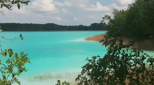 Turkusowe jezioro w Koninie, otoczone trzcinami i zielenią, z błękitnym niebem i białymi chmurami.