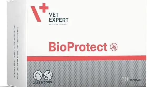 Probiotyk dla psa: Gdzie kupić najlepiej? Uniknij błędów!
