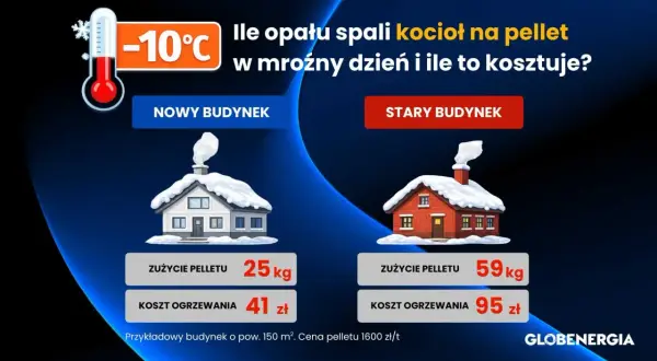 Ile kosztuje tona pelletu? Porównanie zużycia i kosztów ogrzewania nowego i starego budynku w mroźny dzień.