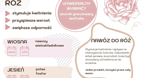 Nawóz do róż: stymuluje kwitnienie, przyspiesza wzrost, zwiększa odporność. Wiosną nawozy wieloskładnikowe, jesienią potas i fosfor. Leczenie domowe dla róż.