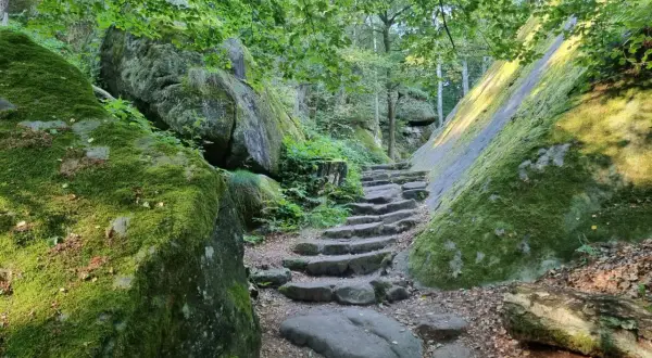 Moosbewachsene Felsen säumen einen steinernen Treppenweg, der zu einer Lilienstein Wanderung einlädt.