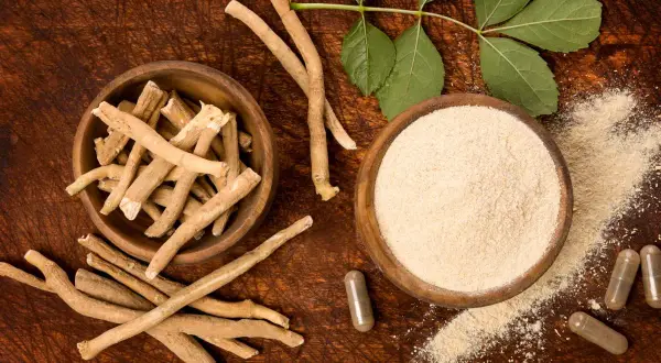 Korzeń i proszek z ashwagandhy, znanej jako adaptogen. Obok kapsułki i liście rośliny.