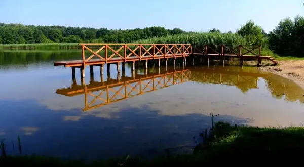 Drewniane molo odbija się w spokojnej tafli jeziora wojnowskiego. W tle zieleń drzew i trzcin.