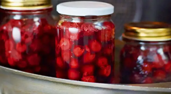 Drei Gläser mit eingelegten Kirschen stehen in einem Metallbehälter. Die roten Früchte schimmern im Saft.