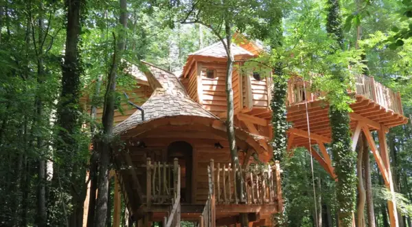Magnifiques cabanes dans les arbres en Île-de-France, nichées au cœur d'une forêt luxuriante. Un rêve d'enfant devenu réalité.