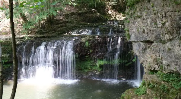 Cascate del Golfarone: un'oasi di pace dove l'acqua scende tra rocce e vegetazione rigogliosa, creando un paesaggio incantevole.