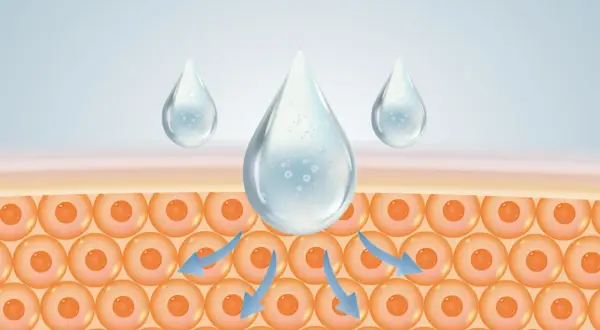 Feuchtigkeitstropfen dringen in die Haut ein. Naturkosmetik mit Hyaluron versorgt die Zellen intensiv.