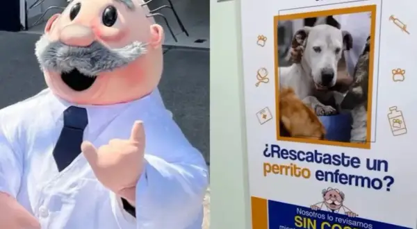 Veterinario gratis: opciones para cuidar de tu mascota sin costo