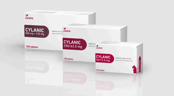 Opakowania leku CYLANIC dla psa i kota, różne moce: 500 mg + 125 mg, 250/62.5 mg, 50/12.5 mg.