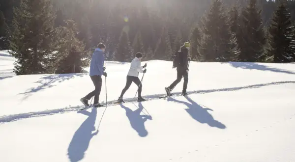 Tre persone camminano con le ciaspole su un sentiero innevato, godendosi le loro esperienze sulla neve in un bosco di abeti.