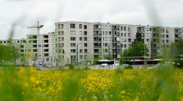 Ile zarabia deweloper? Zaskakujące fakty o wynagrodzeniach w branży