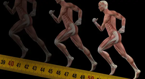 Anatomia biegu: zobacz, jakie mięśnie pracują przy bieganiu, od stóp po tułów. Mięśnie nóg i brzucha w akcji.