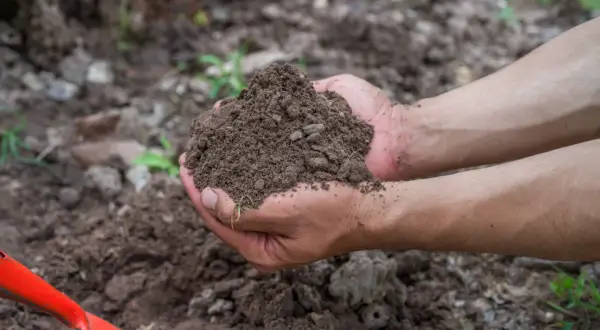 Dłonie trzymają garść ziemi, pokazując, co to jest gleba – życiodajny materiał dla roślin. Obok czerwona łopatka.