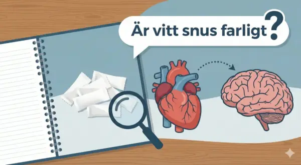En anteckningsbok visar vitt snus, ett hjärta och en hjärna. Frågan "Är vitt snus farligt?" ställs, med pilar som indikerar en koppling mellan hjärtat och hjärnan.