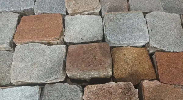 Zbliżenie na brukowiec w różnych odcieniach szarości i brązu.