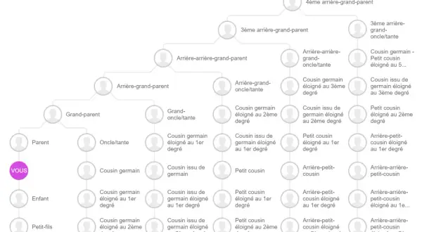 Arbre généalogique montrant les liens de parenté, de "VOUS" à des cousins éloignés, illustrant l'origine Kienast.