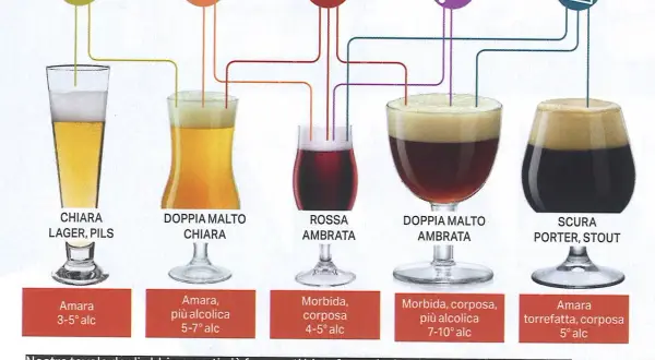 Guida ai tipi di birra e marche: Chiara, Rossa Ambrata, Doppia Malto, Scura. Abbinamenti con pollo, hamburger, pizza, salumi e formaggi.