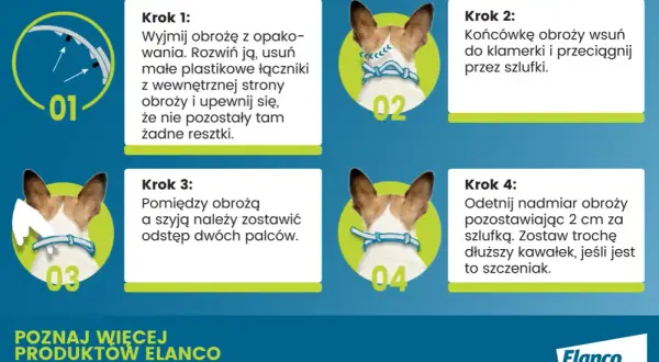 Jak działa obroża Foresto i jak skutecznie chroni przed pasożytami