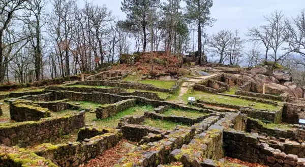 Ruinas de **Santa Mariña de Augas Santas**, con muros de piedra cubiertos de musgo y hojas secas, rodeadas de árboles desnudos bajo un cielo nublado.