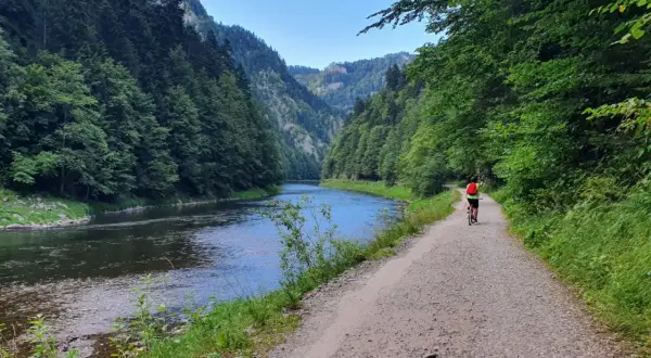 Rowerzysta przemierza malowniczą trasę Velo Dunajec w okolicach Zakliczyna, otoczony zielonymi lasami i spokojną rzeką.