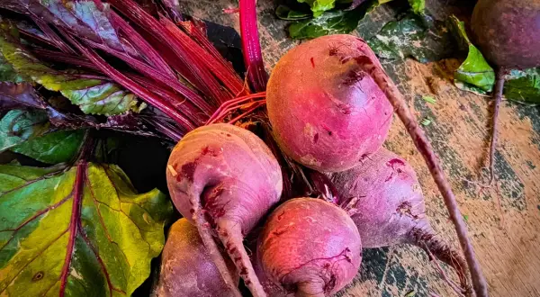 Frische Rote Bete Knollen mit grünen Blättern und roten Stielen liegen auf einer Holzoberfläche.