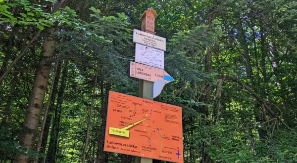 Tablica z drogowskazami w lesie. Wskazuje drogę do Hali Łabowskiej (2,3 km) i Doliny Łabowszczańskiej. Mapa szlaków turystycznych.