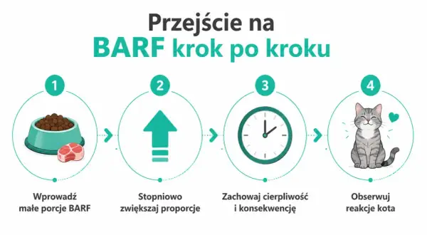 Przejście na dietę BARF dla kota: zacznij od małych porcji, stopniowo zwiększaj, bądź cierpliwy i obserwuj reakcje pupila.