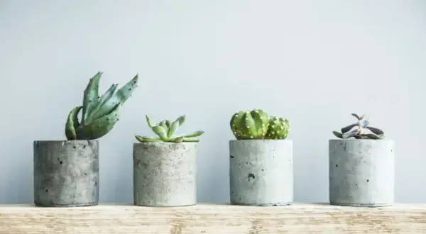 Jak zrobić ozdoby z betonu? Twój przewodnik DIY krok po kroku