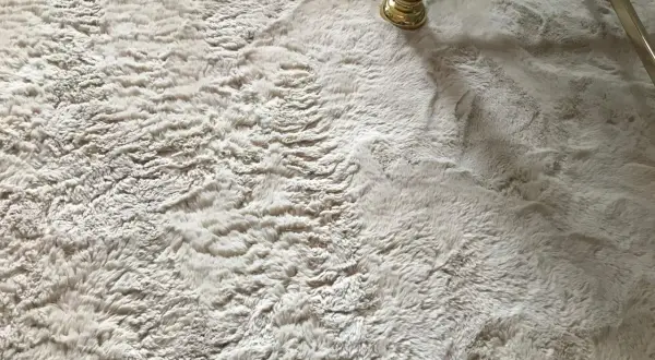 Ein heller, flauschiger Teppich mit einem goldenen Möbelfuß. So wird der **Teppich wieder flauschig machen** zum Kinderspiel!