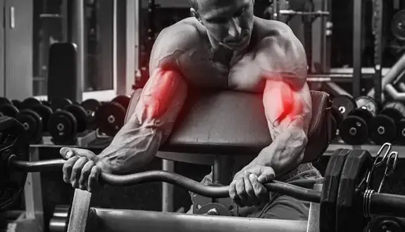 Ile razy w tygodniu ćwiczyć biceps? Dwa treningi to złoty standard!