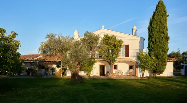 La finca el azahar, una casa blanca con balcón y arcos, rodeada de olivos y cipreses bajo un cielo azul.