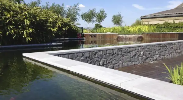 Un bassin avec un poisson rouge, des plantes luxuriantes et une cascade. Idéal pour savoir comment éclaircir l'eau d'un bassin à poissons.