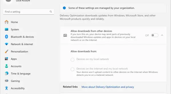 Ustawienia optymalizacji dostarczania w Windows 10. Możesz tu zarządzać pobieraniem aktualizacji, co wpływa na wydajność dysku.