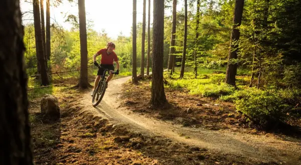 Rowerzysta na ścieżce w lesie, odkrywa urokliwe trasy rowerowe Racibórz. Słońce przebija się przez drzewa, tworząc magiczną atmosferę.